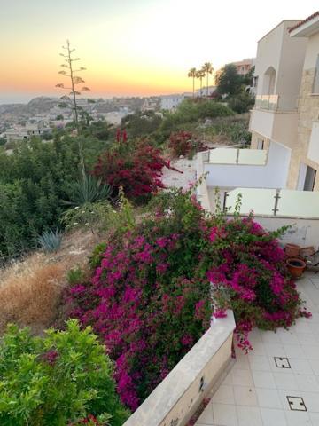 Beau Views Seven Appartement Peyia Buitenkant foto